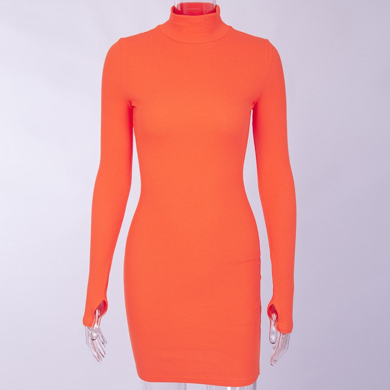 Turtleneck Long Sleeve Skinny Mini Dress