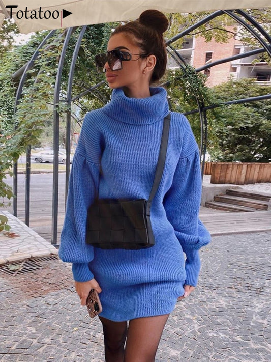 Turtleneck Knit Sweater Dress