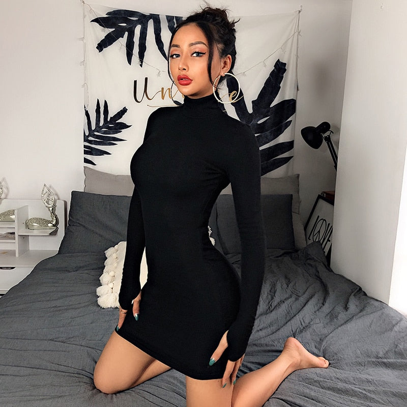 Turtleneck Long Sleeve Skinny Mini Dress