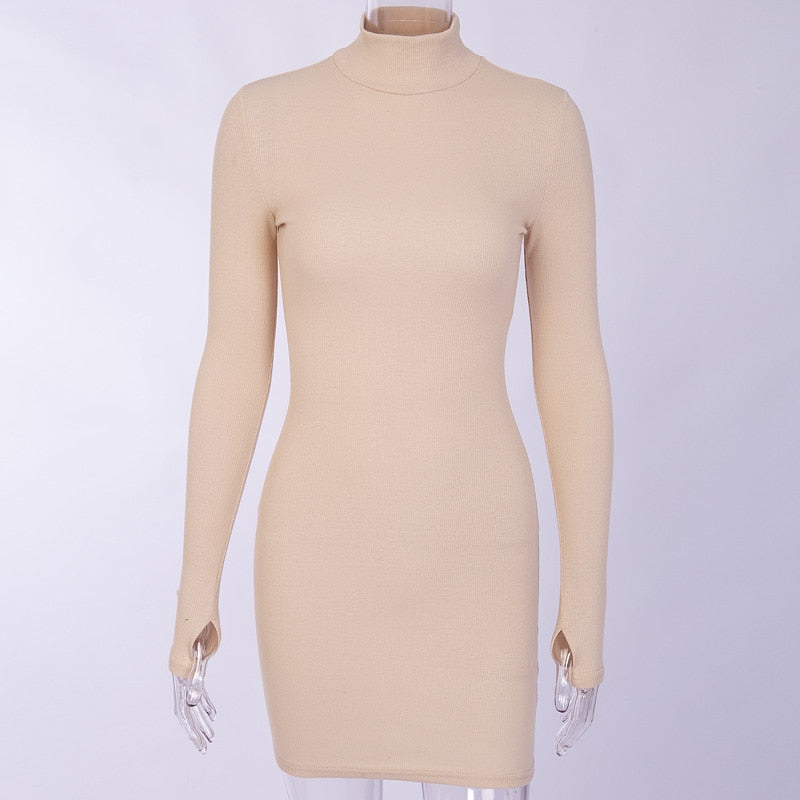 Turtleneck Long Sleeve Skinny Mini Dress