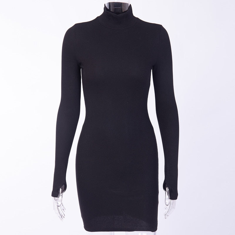 Turtleneck Long Sleeve Skinny Mini Dress