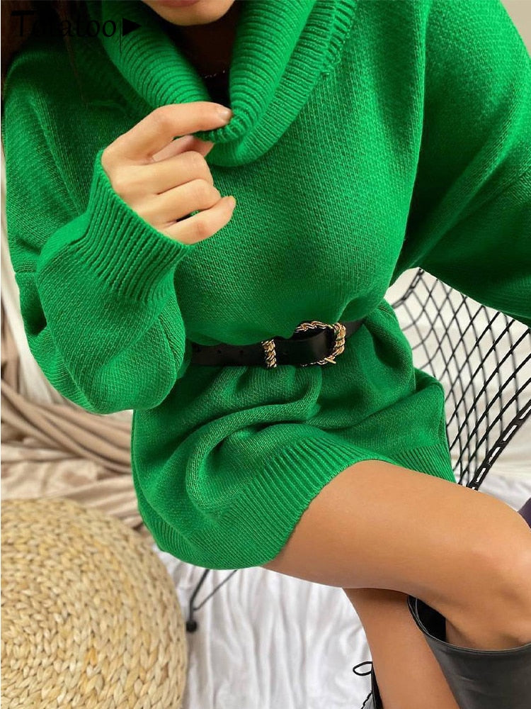 Turtleneck Knit Sweater Dress